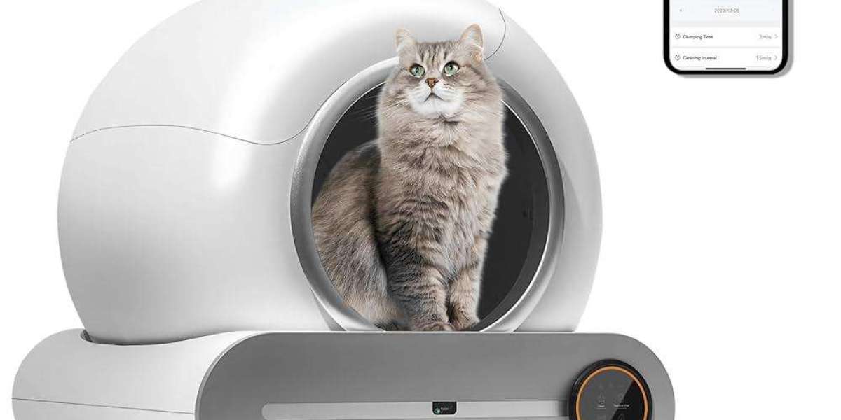 How Pawtechpet's Automatic Litter Box Promotes Healthier Cats?