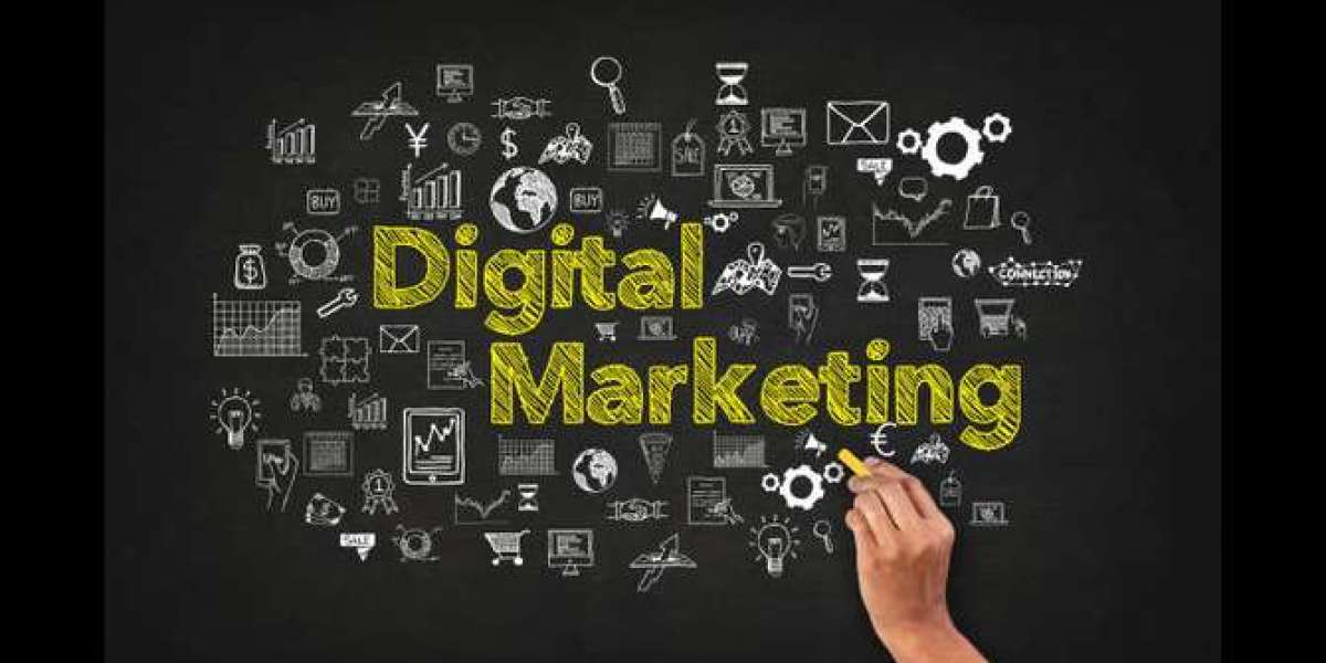 Maximize Your ROI with Expert Digital Marketing Agency in Delhi?