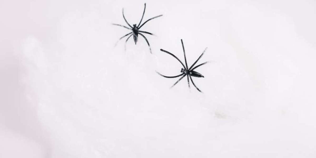 Snow Bugs Explained: The Tiny Black Specks Moving on Snow