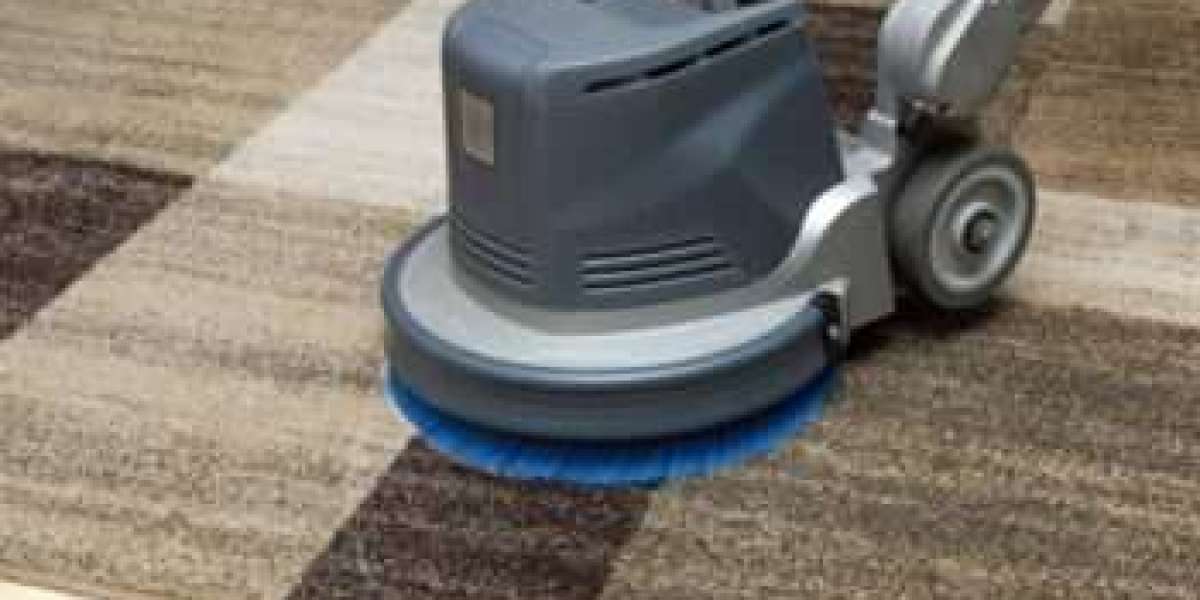 Carpet Cleaning Services That Provide Professional Fiber Care