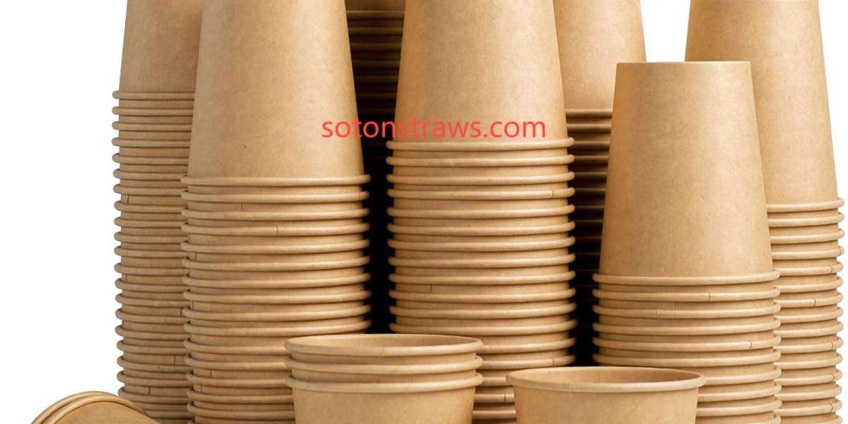 Beyond the Bin with Soton's Disposable Paper Cups