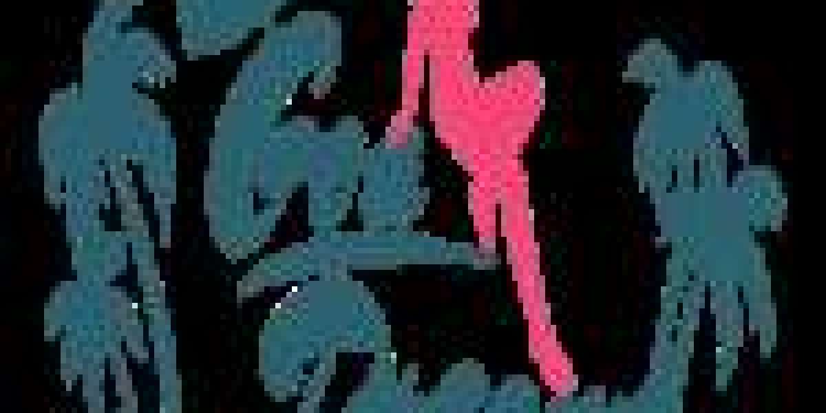 Girls in Goa for Sex | Goa Dreams Trusted Call Girls & Escort Service