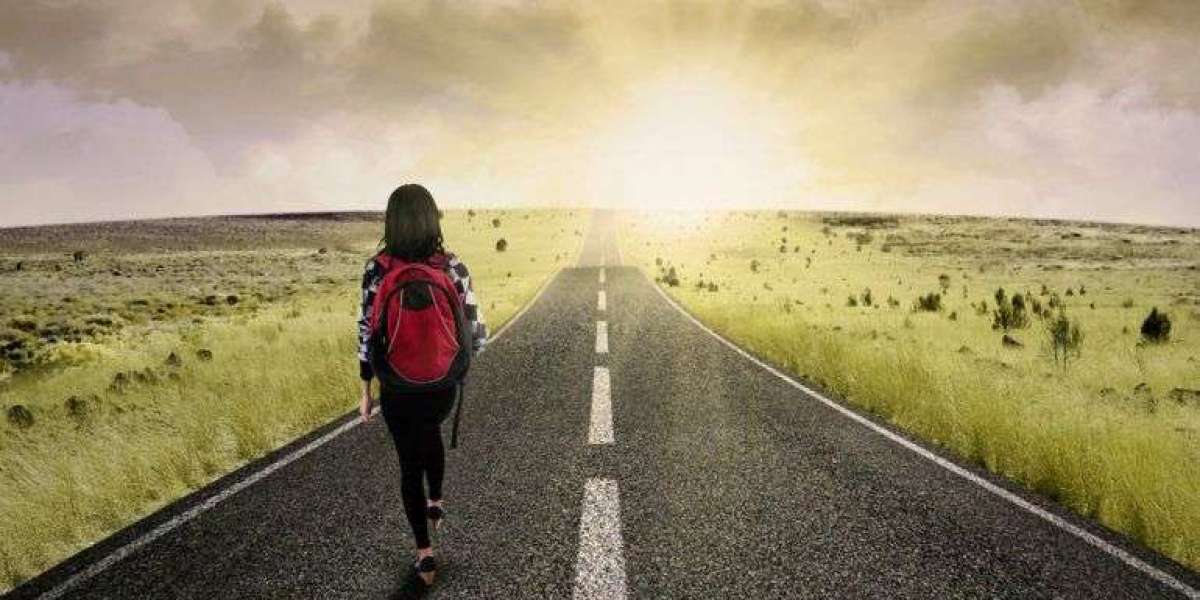 Best Indian Travel Company – Trusted Travel Experiences with The Vacation Masters