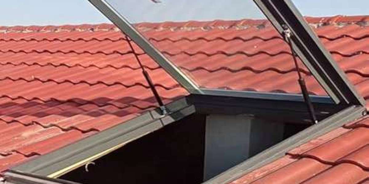 teras çatı penceresi