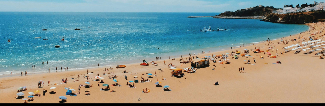 Perfect Holidays Cover Image