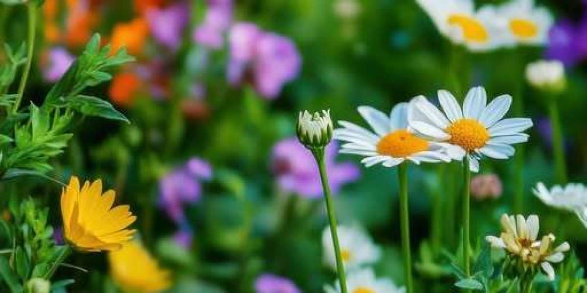 Hartman, Wild top Stars in 2OT in Game 1 of Western 1st Round