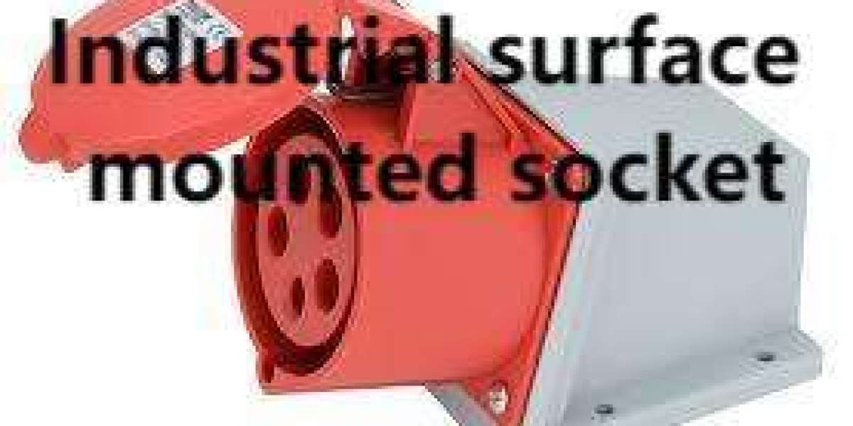 Industrial Surface Mounted Socket Field-Ready By Nante