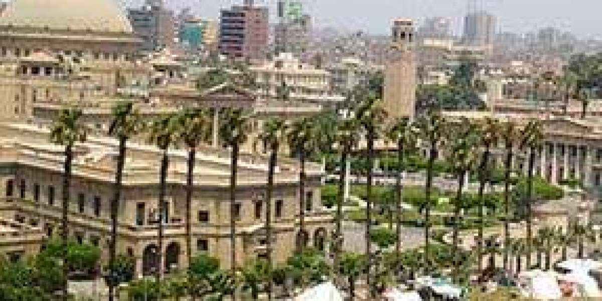 Thinking of Studying Medicine Abroad? Here’s Why Egypt Stands Out