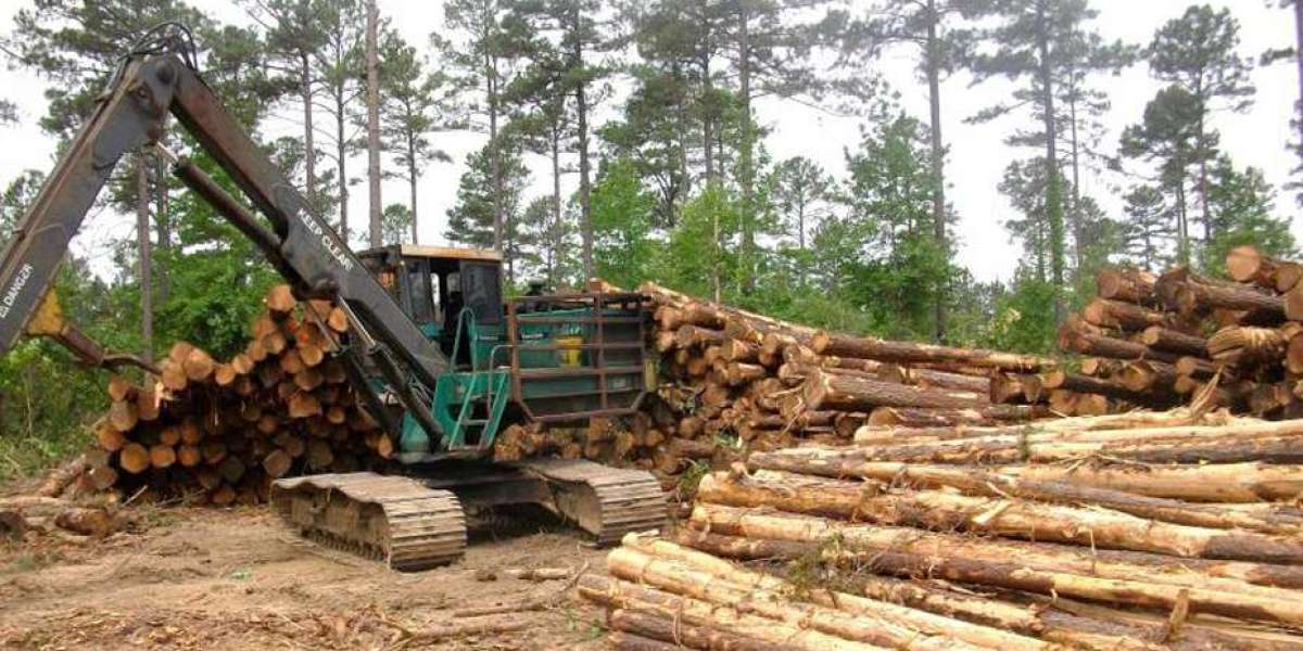 Timberland & Timber Asset Management – Building Wealth from the Ground Up