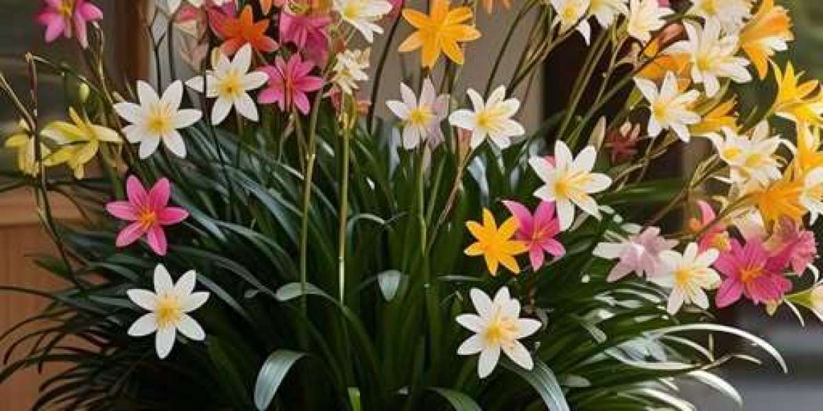 Laraque amazed with different local community of youth avid gamers at Willie ORee Academy