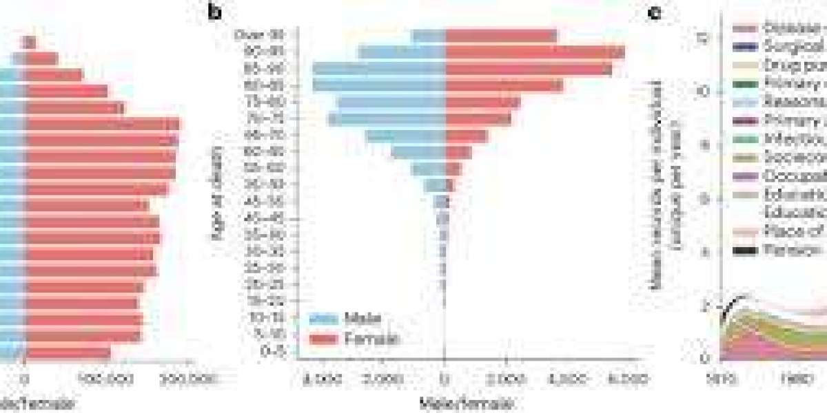 The growing demand for in-depth analysis and long-form journalism in Finland