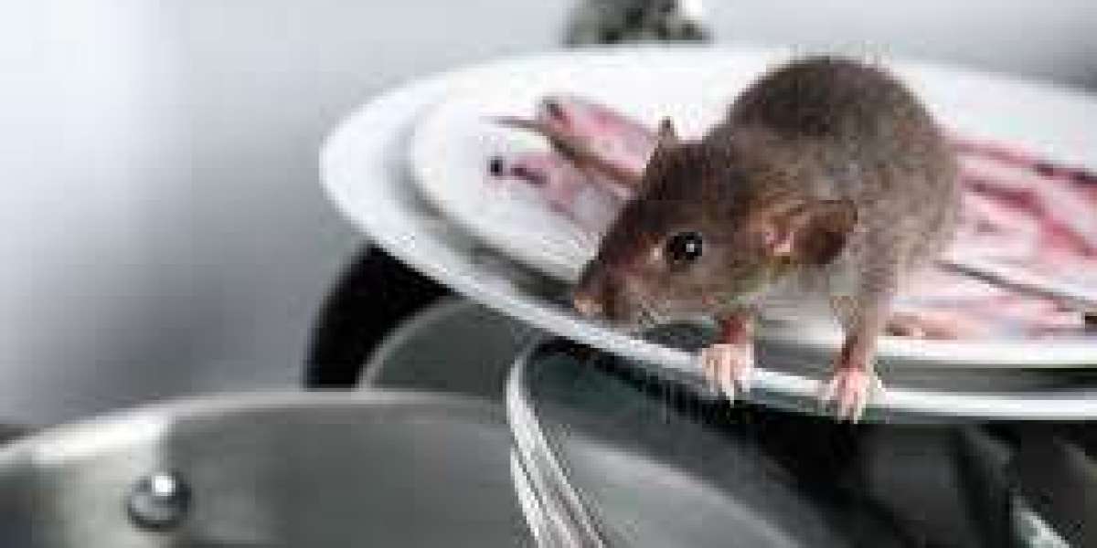 Pest Control Services Mission: Keeping Your Property Safe and Pest-Free