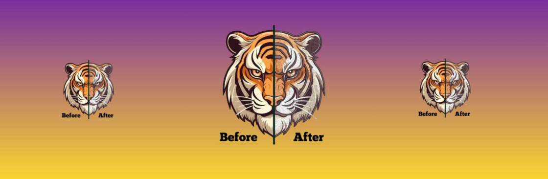 Digitizer for embroidery Cover Image