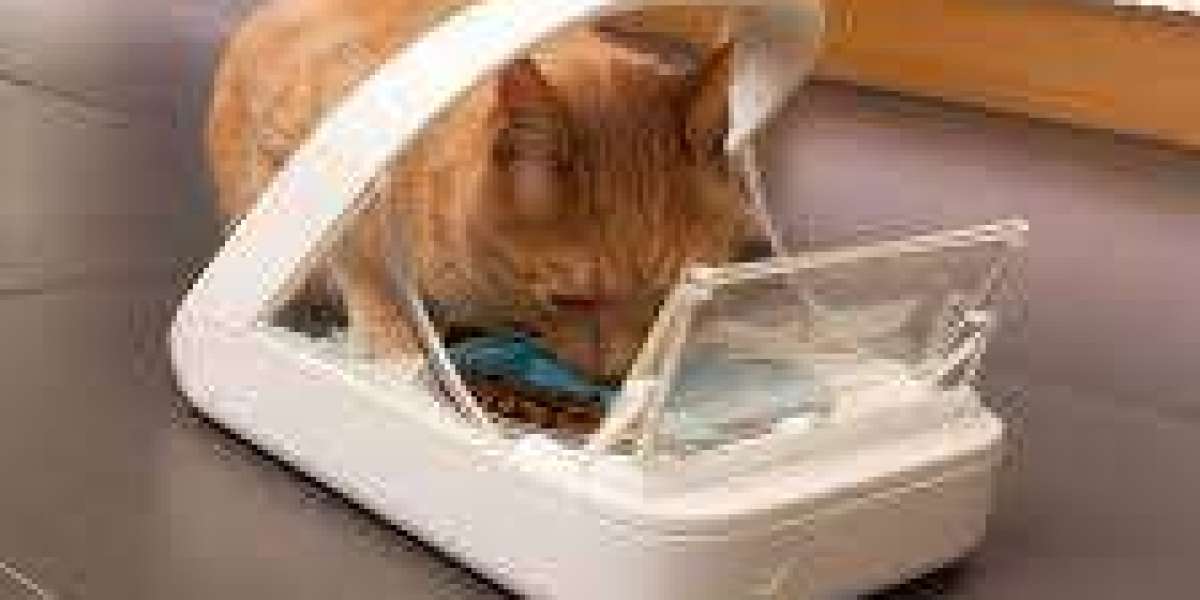 Microchip Cat Feeder: Prevent Overeating in Cats