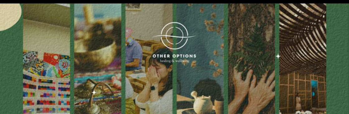 Other Options Healing and Coaching Cover Image