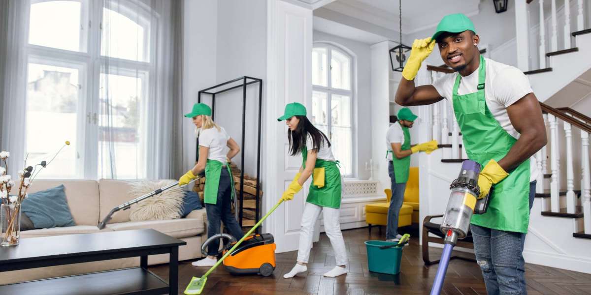 Professional House Cleaning Services in Windsor, ON     