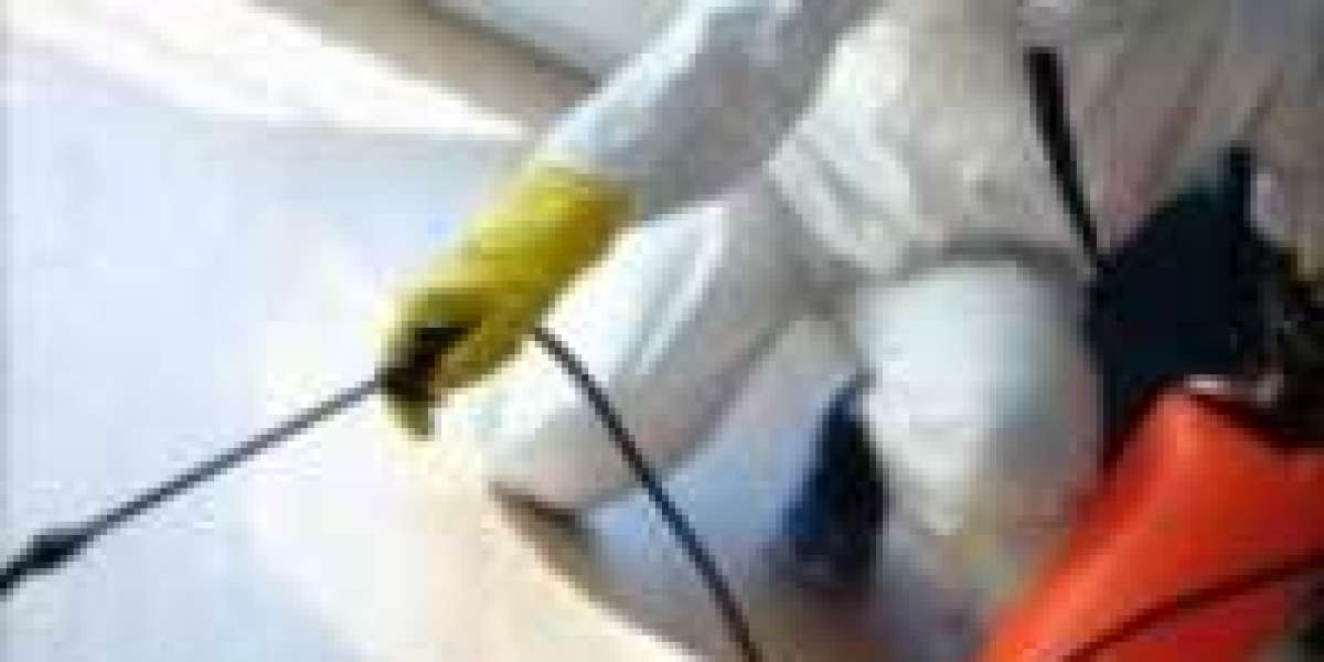 Why Termite and Pest Control Is Critical for Long-Term Protection