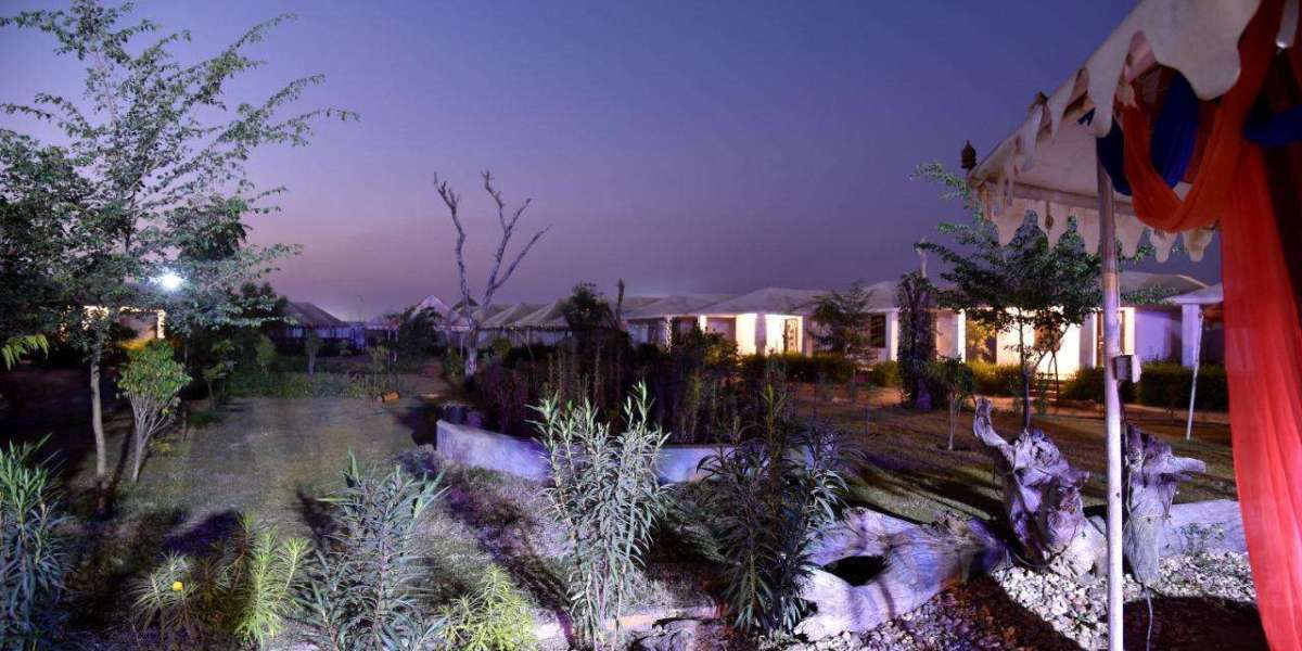 Why Stargazing in Jaisalmer Is One of India’s Best Night Experiences