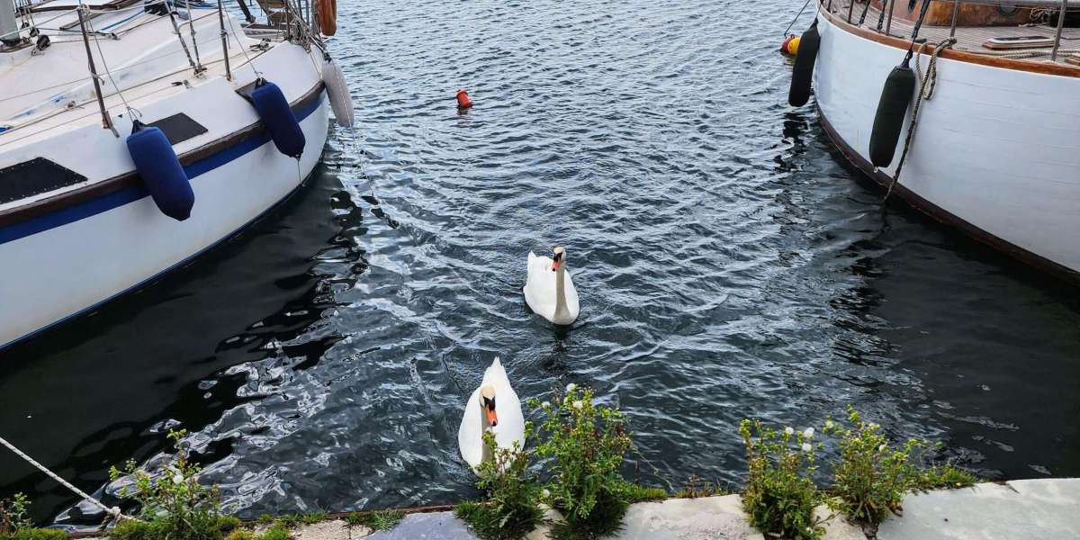 The Impact of Greece’s Golden Visa Program on Real Estate Opportunities