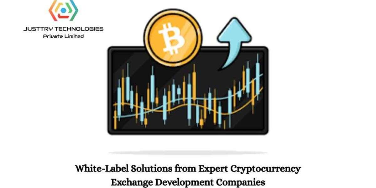 White-Label Solutions from Expert Cryptocurrency Exchange Development Companies