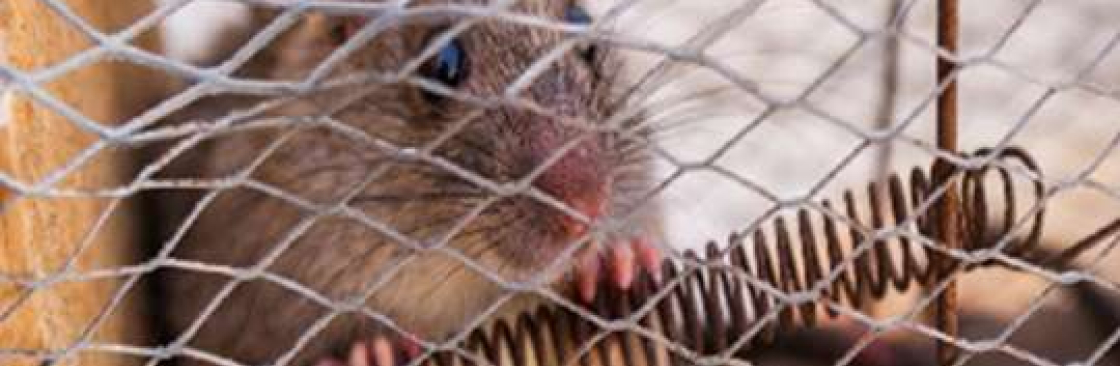 ratsremovalin melbourne Cover Image