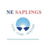 Ne Saplings Profile Picture