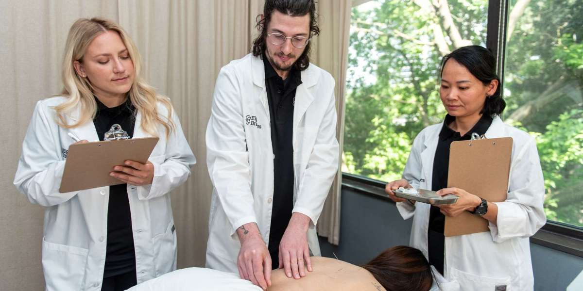 Toronto Acupuncture School – Professional Training at Eight Branches