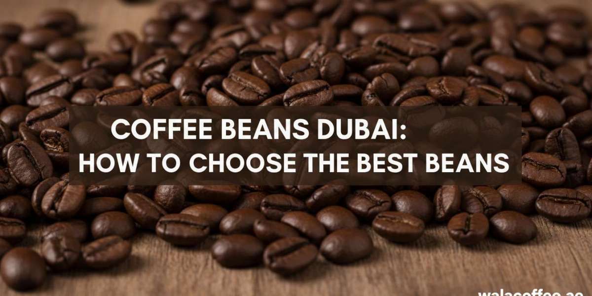 Coffee Beans Dubai: How to Choose the Best Beans for Home, Cafes, and Offices