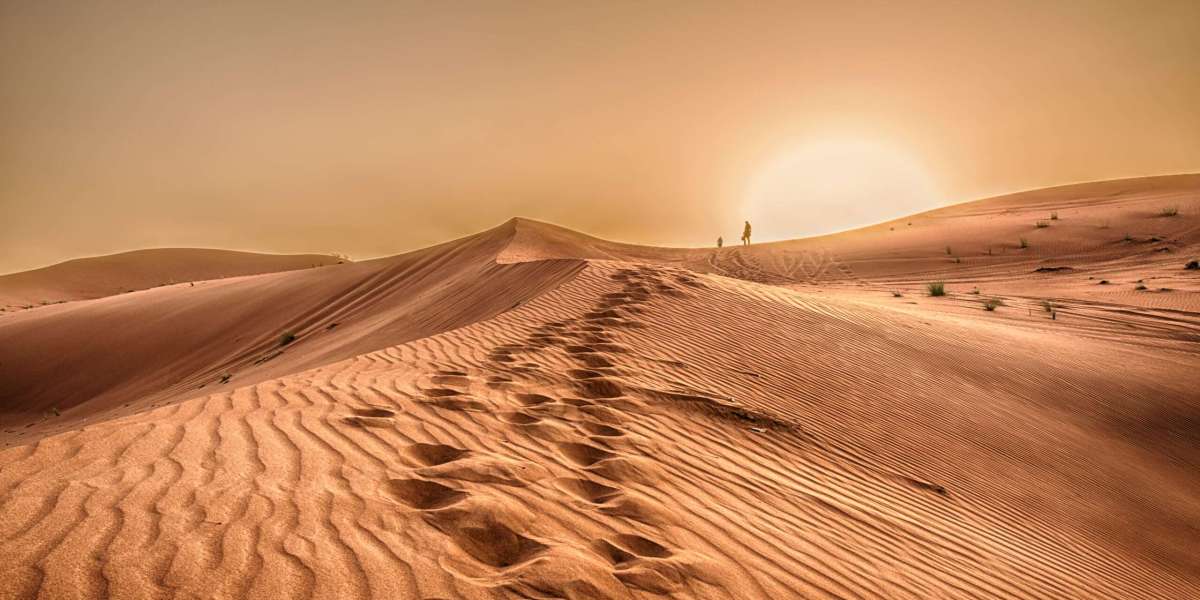 Building Bright Futures, Spiritual Guidance, and Luxury Experiences in the UAE