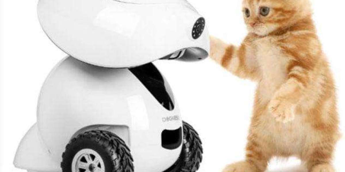 Pawtechpet Pet Smart Appliances and the Evolution of Intelligent Feeding