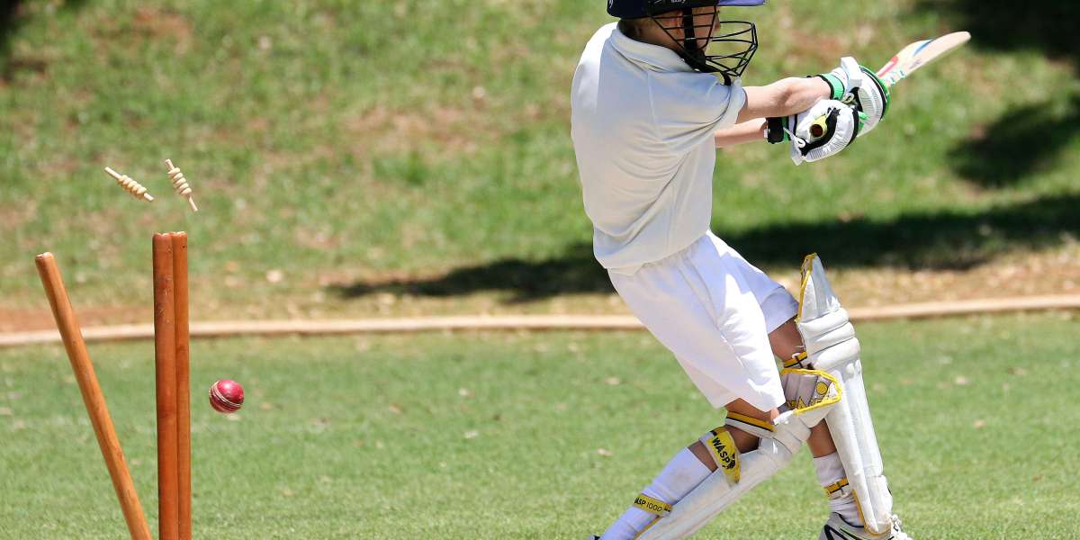 How to Combine Multiple Betting Strategies for Better Results on Cricbets99