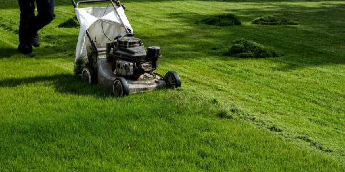 Have a Healthy Yard with Bellingham Lawn Care