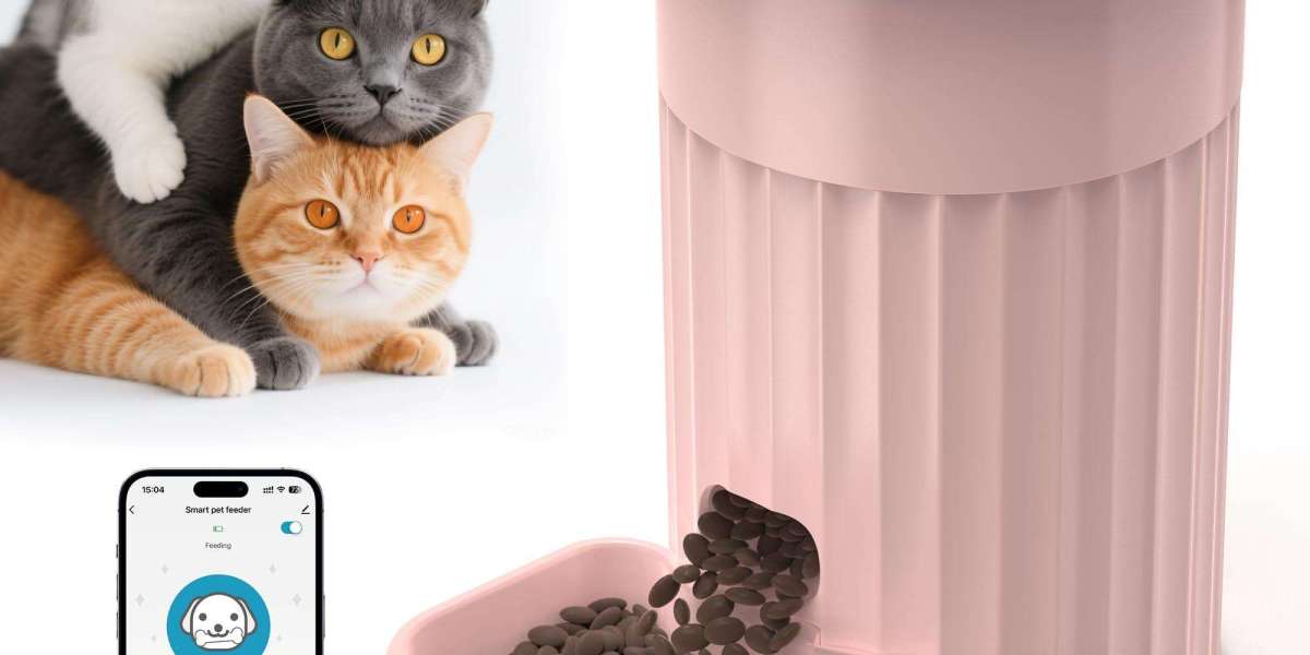 Can Pawtechpet Intelligent Pet Food Dispenser Improve Pet Feeding