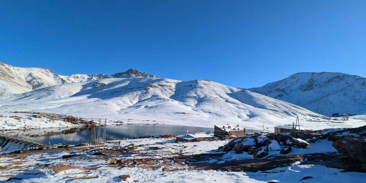 Tiger T24: Ranthambore's Most Talked About Wild Tiger