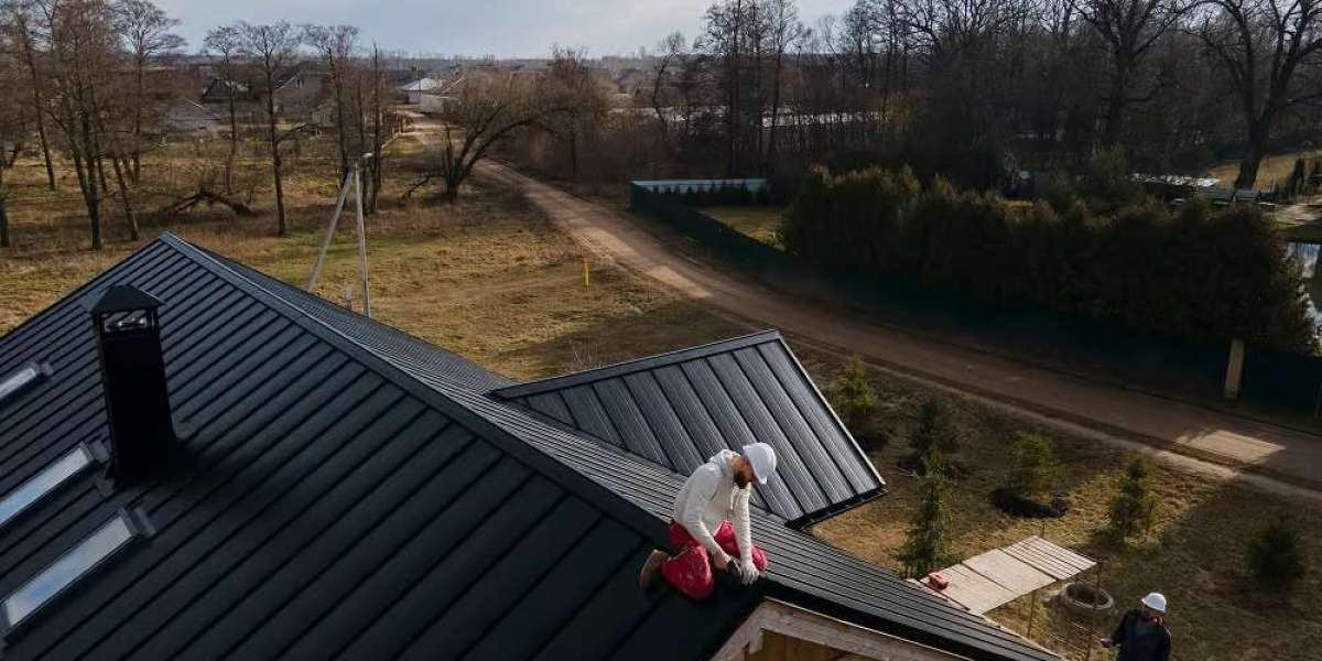 Choosing the Right Roofing Professionals for Long-Lasting Protection