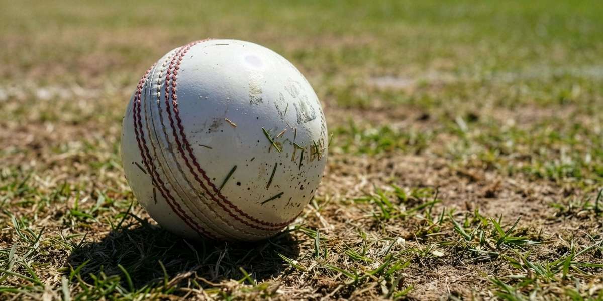 A Beginner-Friendly Guide to Understanding Different Betting Markets Available on Cricbets99