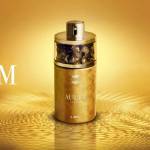 Henry Liam Profile Picture