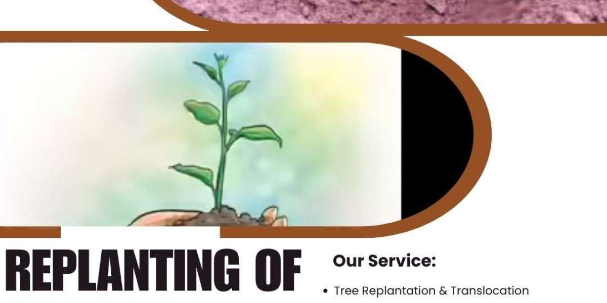 Replanting of Trees in Hyderabad