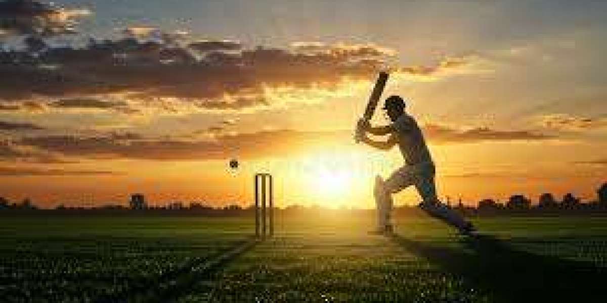 The Role of Match Conditions, Weather, and Pitch Reports in Making Smart Bets on Cricbets99