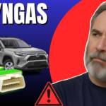 SynGas Erfahrungen Profile Picture