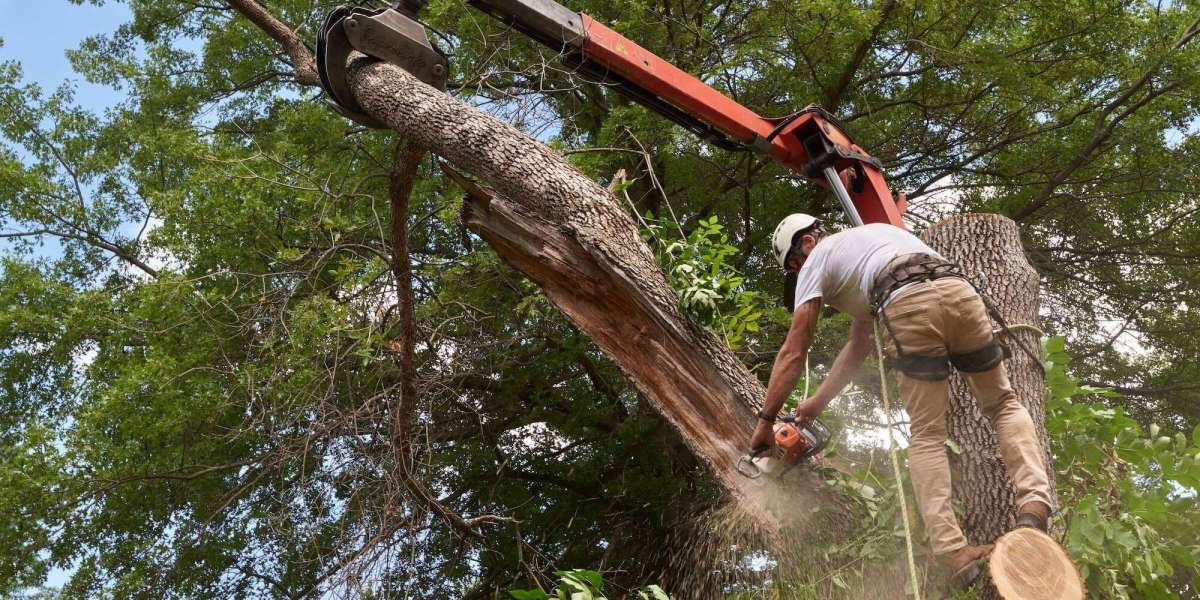 Complete Land Clearing in Cook County, IL for Residential and Agricultural Land