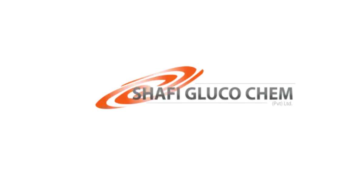 Rice Protein Manufacturer USA: Trends in Plant-Based Protein Industry