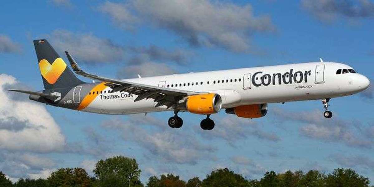 Condor Airlines Review Business Class: Full Breakdown