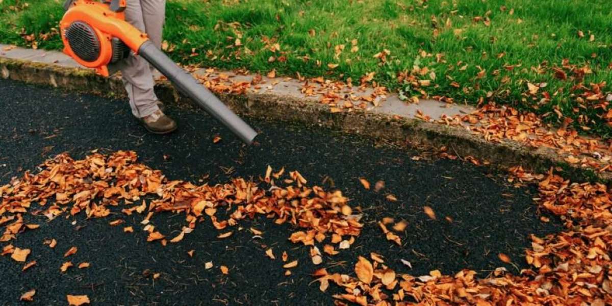 How to Remove Leaves Without Damaging Your Lawn in Omaha