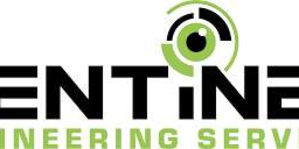 Trusted Sentinel Engineering Services for Modern Industries