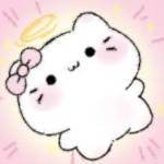 xinke xinke Profile Picture