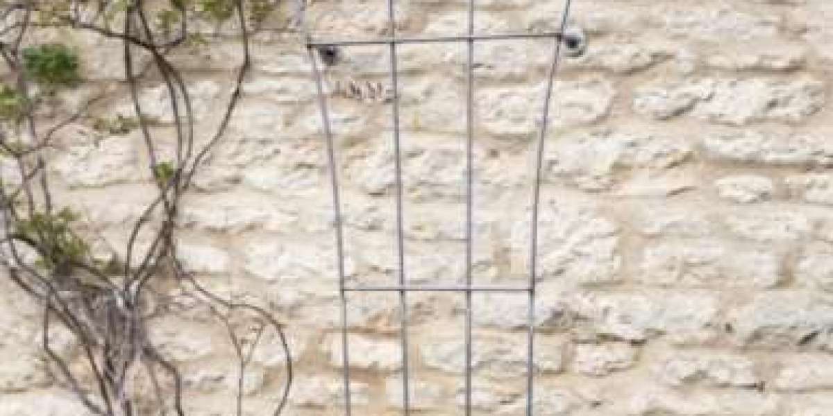 The Ultimate Guide to Designing and Maintaining a Honeysuckle Trellis