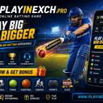 playinexch pro Profile Picture