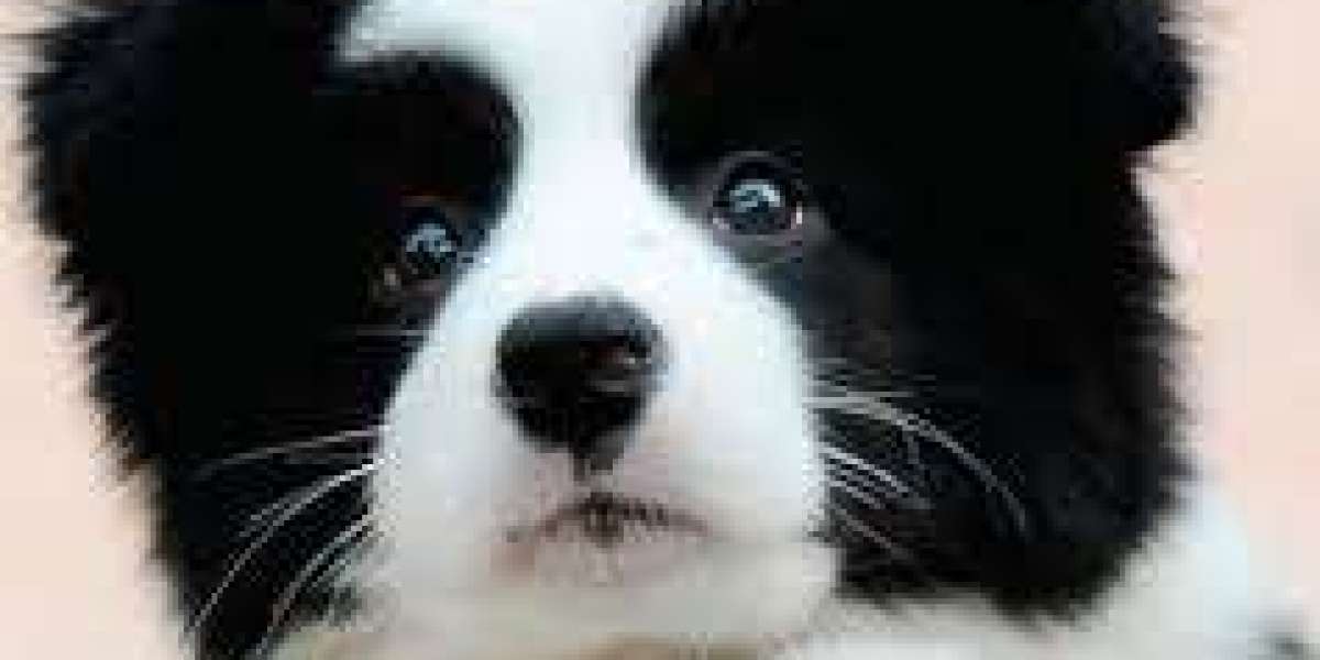 Understanding and Repairing Hand & Wrist Issues in Realistic Sex Dolls