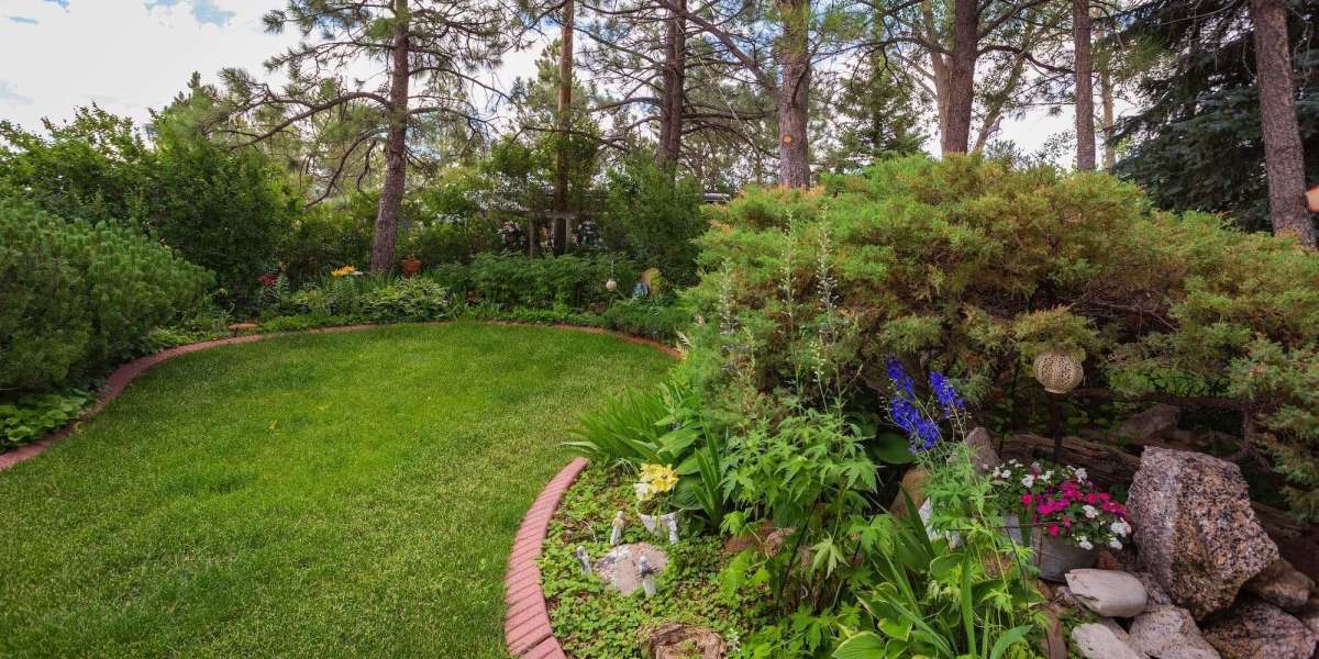 Complete Lawn Services in Gretna, NE for Healthy and Attractive Landscapes